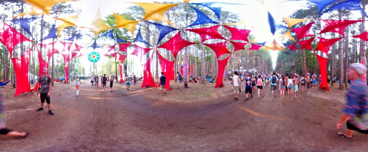Electric Forest Panoramas